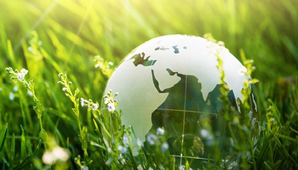 Einführung Bundle Umwelt und Natur