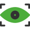 Icon - Auge